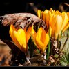 20080224_019